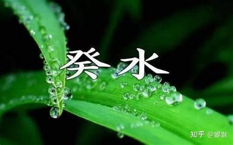 壬癸水|癸水